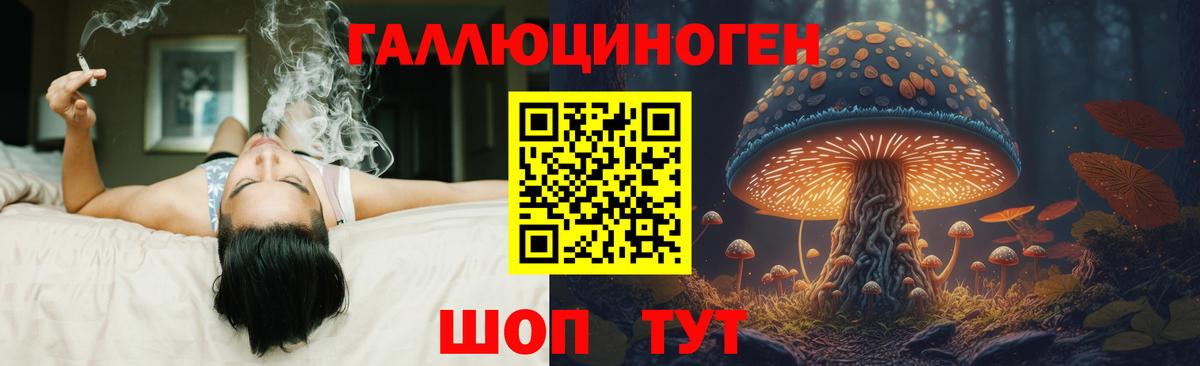 Пугачёв  Галлюциногенные грибы MAGIC MUSHROOMS  Вход с VPN 