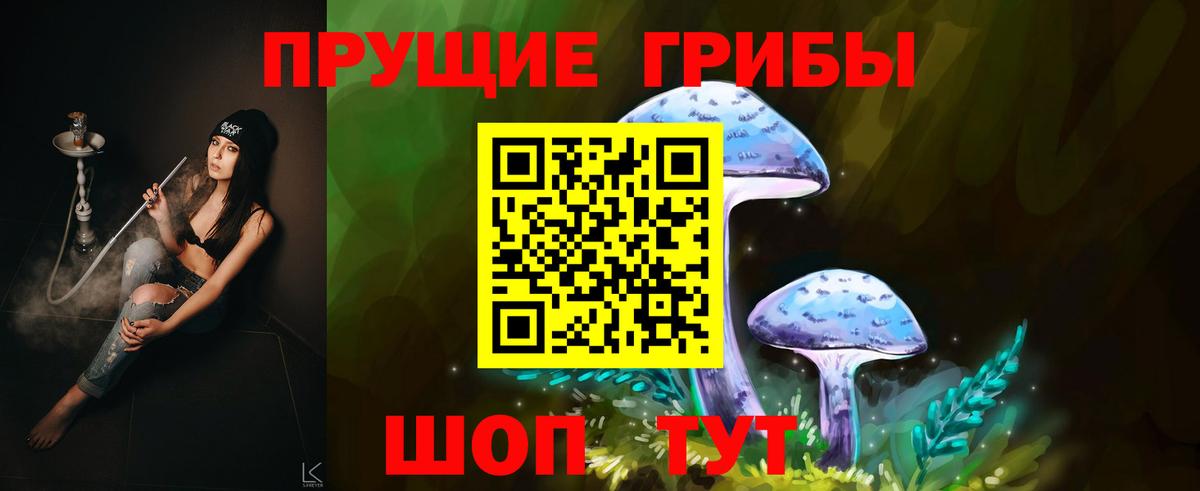 Галлюциногенные грибы мухоморы Пугачёв